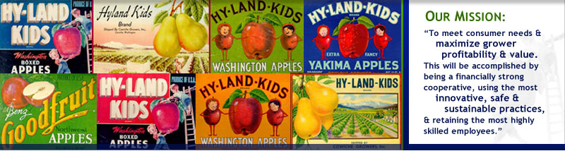 hy-land kids labels