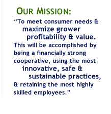 mission statement