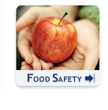 food safety